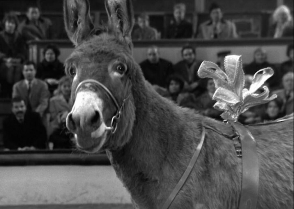 #13. Au Hasard Balthazar (1966)